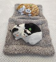 "Кошка с котенком" во Ейске
